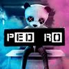 pedrodsd3