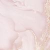 butterfly_1.y