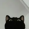 urmoonprince_