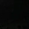 lxzz78