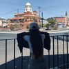 tayla_dec96