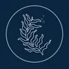 epphavensilver
