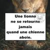 madamen90