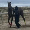 taboada_17