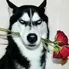 lunw1