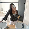 mel.gmz