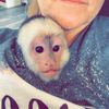 Rayne the capuchin