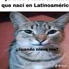 soy_una_rata_oe