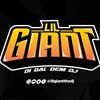 lilgiantthedj