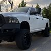 northern_ram