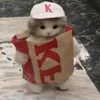 xwyzhj