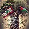 youramoahmed