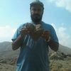 aligrman_2
