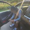 dynz.24s
