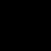 bardii93