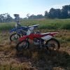 450_emily