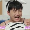 ccafreesun