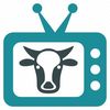 themooviebuff