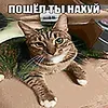 rxshxdxw