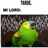 panfiloperez77