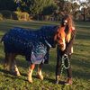 elr_equestrian