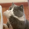 depressedramyeon