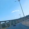 mwamz22
