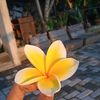 bintangl2011