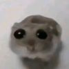 unholypuppy3