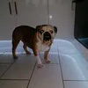 michellebarrie8