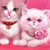 user3431928157850