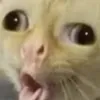 sbzyuassssnds