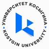 Университет Косыгина