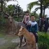 hanhvu0812