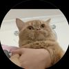 Razan