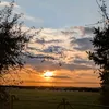 catrinscupcakes12