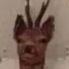 hardcoremethfan