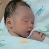 iam.babytiger