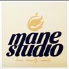 Mane Studio SL