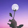 suretev