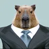 capybara_important