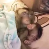alanluti_invicible