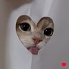 iamlion_17