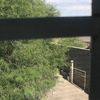 normagandara3