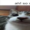 unusedname0