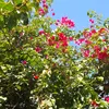user178902_08__