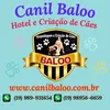 canilbaloo