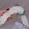 abeer5687