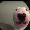sheamcc10