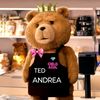 andrea.mhd
